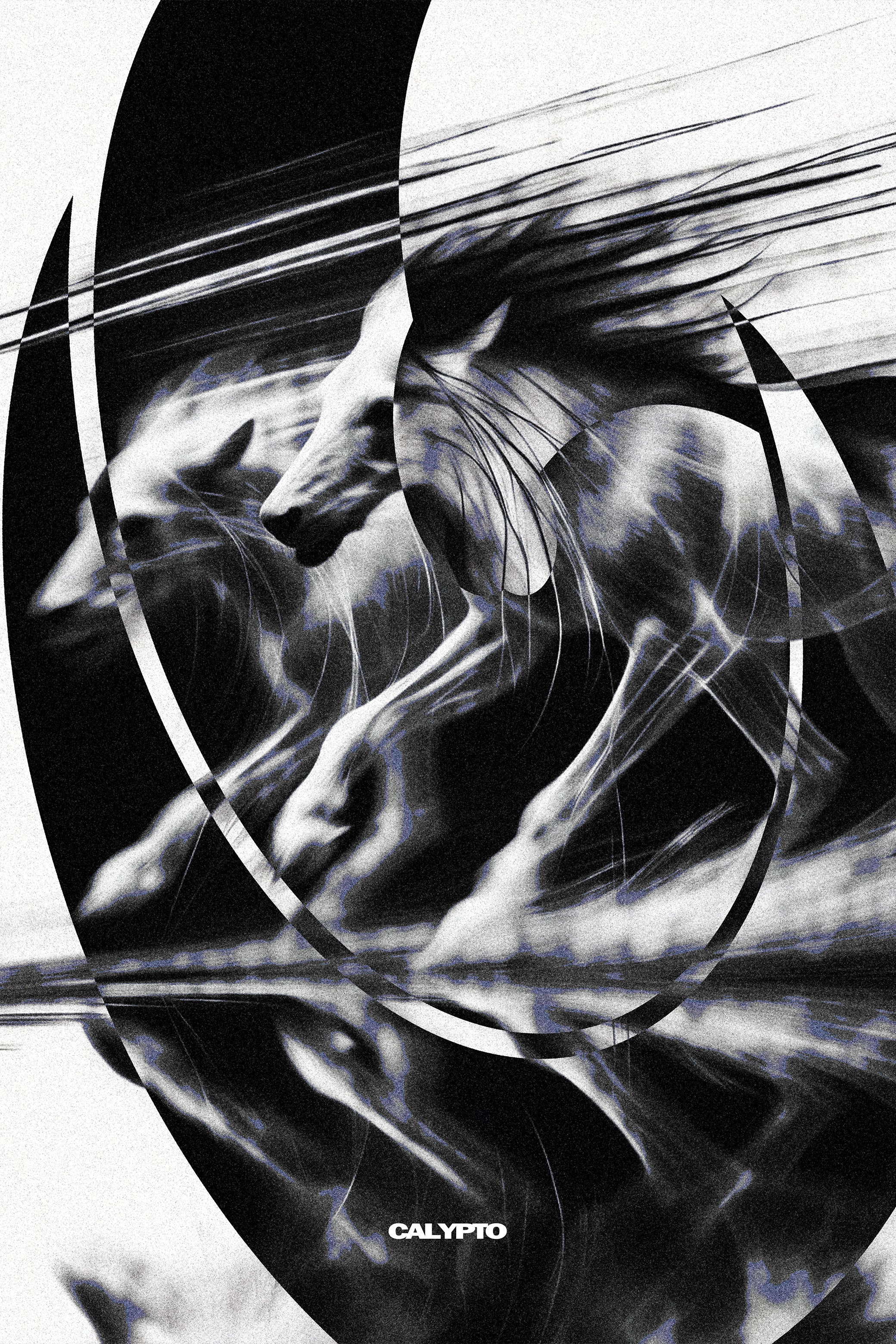 CALYPTO: Where Fashion Meets the Future